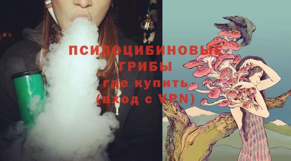 гашик Снежногорск