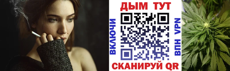 Конопля планчик  Бодайбо 